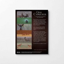 Opus-CVapreolus-Mockup4-web9